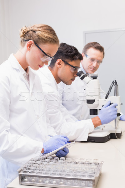 Concentrated scientists working together Stock photo © wavebreak_media