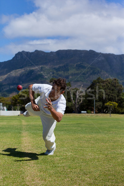 Player diving to catch ball on field against sky Stock photo © wavebreak_media