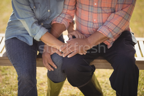 Senior couple holding each others hand while sitting on a bench Stock photo © wavebreak_media