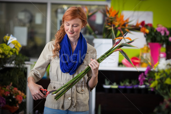 Female florist trimming flower stem Stock photo © wavebreak_media