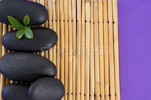 Steine Blatt Bambus Massage Stein Stock foto © wavebreak_media