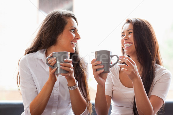 Laughing friends having a coffee in a cafe Stock photo © wavebreak_media