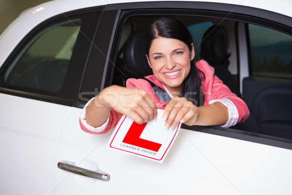 Cheerful female driver tearing up her L sign Stock photo © wavebreak_media