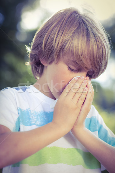 Little boy blowing his nose Stock photo © wavebreak_media