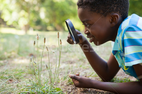 Foto stock: Cute · pequeño · nino · mirando · lupa