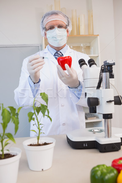 Food scientist working attentively with red pepper Stock photo © wavebreak_media
