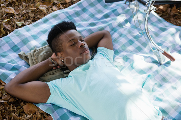 若い男 寝 ピクニック毛布 公園 芸術 自転車 ストックフォト © wavebreak_media