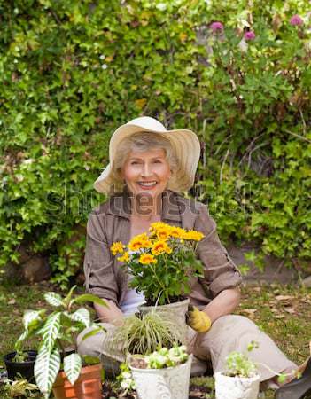 Senior woman examining flowers in garden Stock photo © wavebreak_media