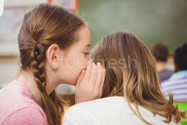 耳語 秘密 類 女子 女孩 商業照片 © wavebreak_media