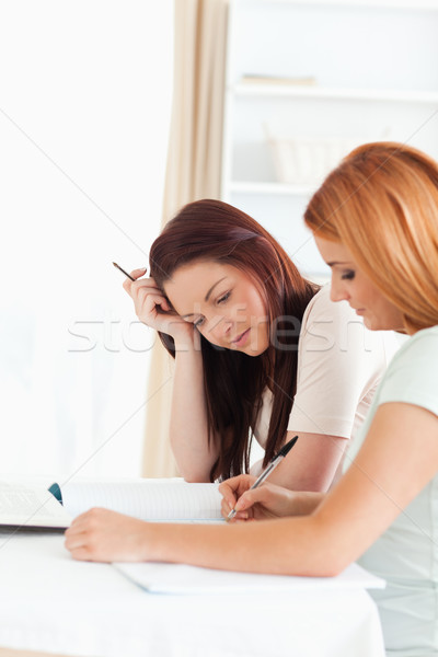 Young Women sitting at a table doing their homework in a kitchen Stock photo © wavebreak_media