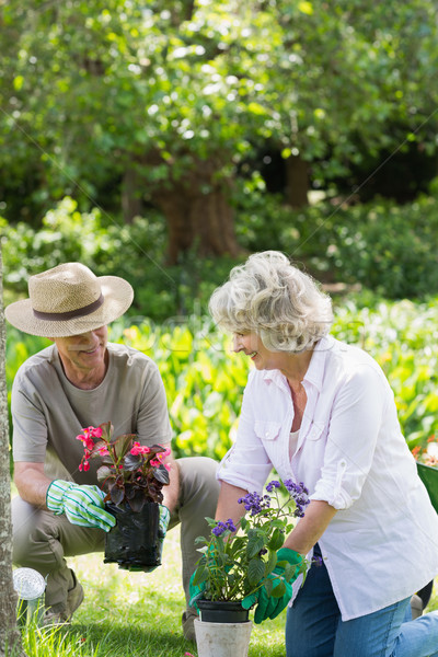 Paar engagiert Gartenarbeit lächelnd reifen Blume Stock foto © wavebreak_media