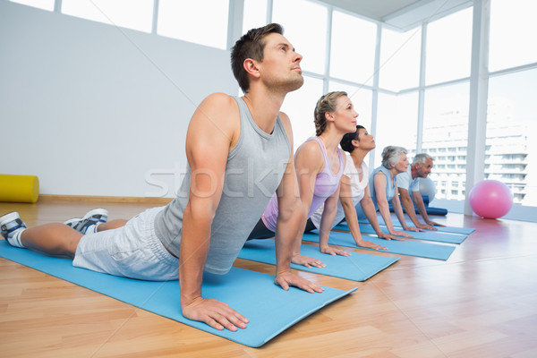 Gruppe cobra darstellen Zeile Yoga Klasse Stock foto © wavebreak_media