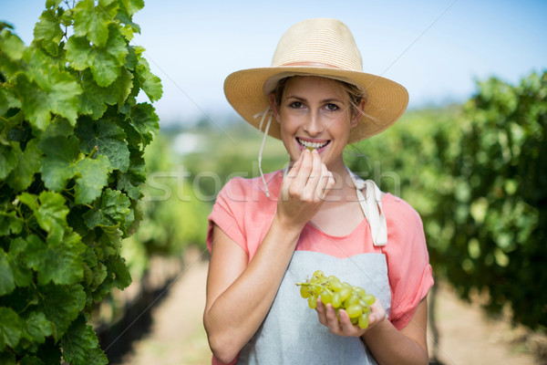 Portré gazda eszik szőlő szőlőskert női Stock fotó © wavebreak_media