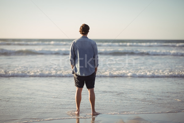 Achteraanzicht man permanente strand wal water Stockfoto © wavebreak_media