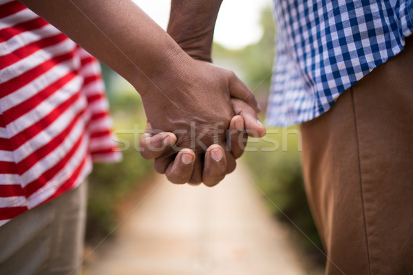 Kép idős pár kéz a kézben áll természet kék Stock fotó © wavebreak_media