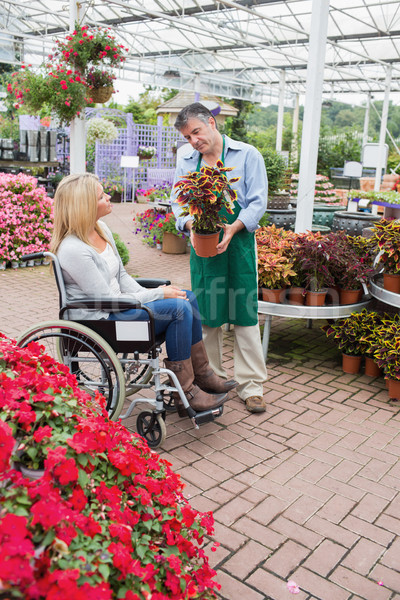 女子 輪椅 看 植物 花園 中心 商業照片 © wavebreak_media