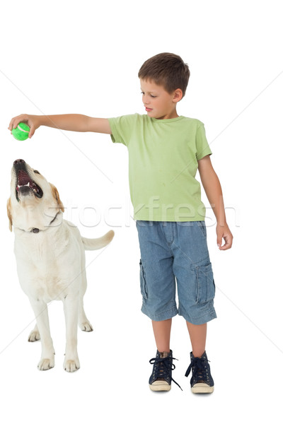 Cute weinig jongen spelen bal labrador Stockfoto © wavebreak_media