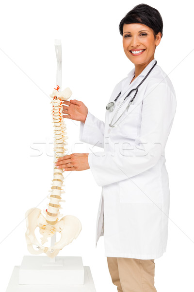 Portrait of a female doctor holding skeleton model Stock photo © wavebreak_media