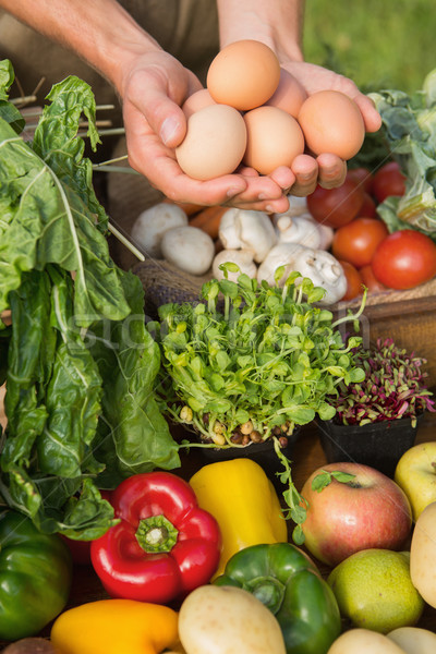 Farmer showing his organic eggs Stock photo © wavebreak_media