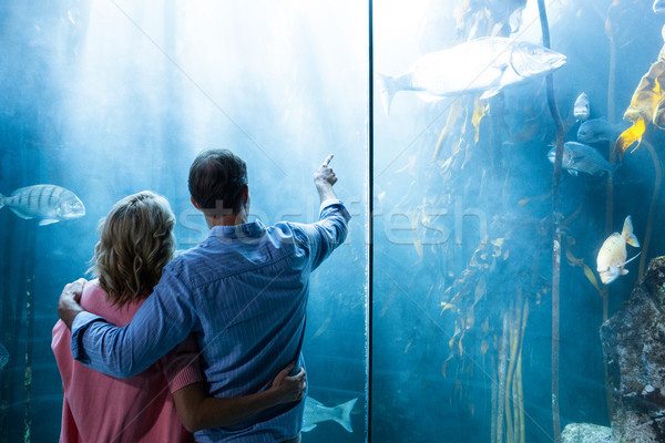 Couple looking at fish in tank Stock photo © wavebreak_media