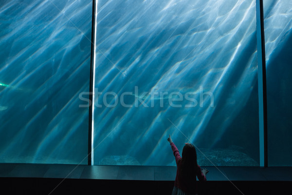 Küçük kız balık tank akvaryum çocuk Stok fotoğraf © wavebreak_media