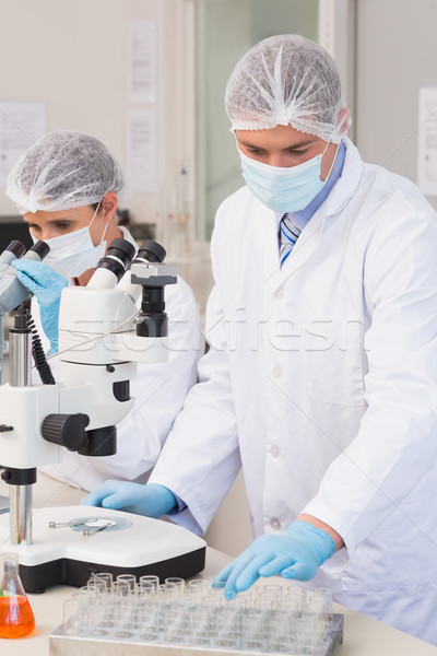 Scientists working attentively with microscopes Stock photo © wavebreak_media