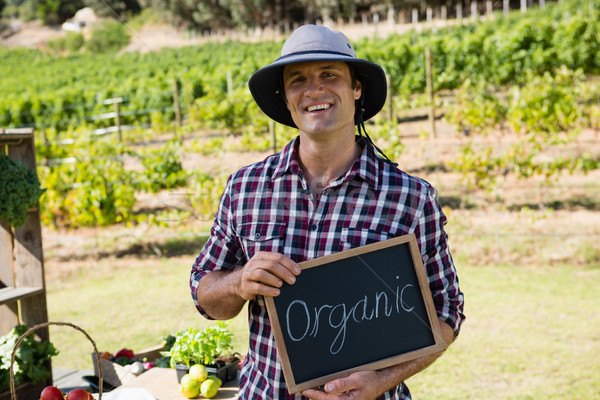 Portrait of happy man holding slate with text in vineyard Stock photo © wavebreak_media