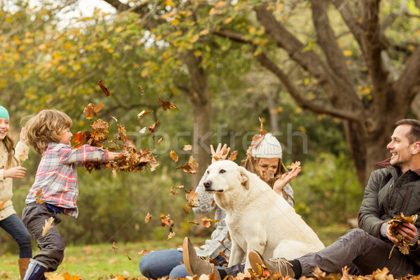 Young family with a dog in leaves Stock photo © wavebreak_media