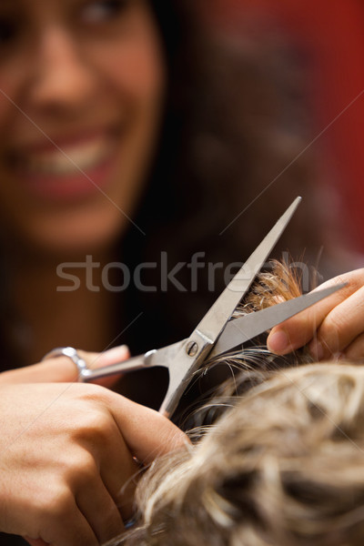 肖像 ヘアドレッサー 髪 はさみ ビジネス ストックフォト © wavebreak_media