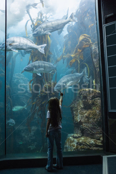 Fetita uita peşte cisternă acvariu copil Imagine de stoc © wavebreak_media