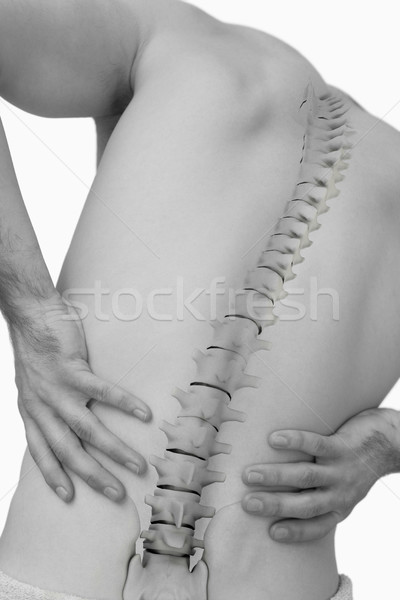 Digital composite of highlighted spine of man with back pain Stock photo © wavebreak_media