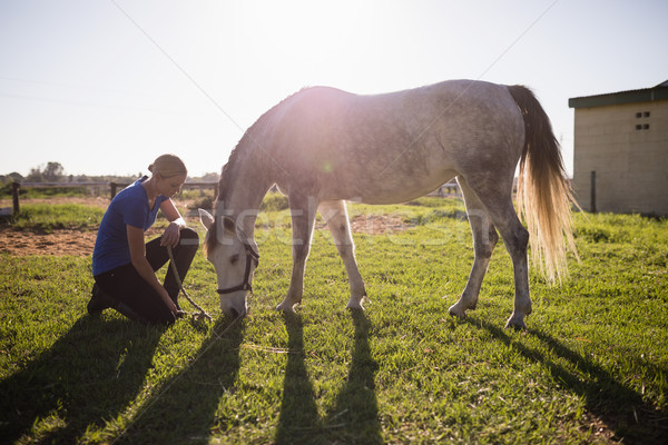 Feminino jóquei olhando cavalo gramíneo Foto stock © wavebreak_media