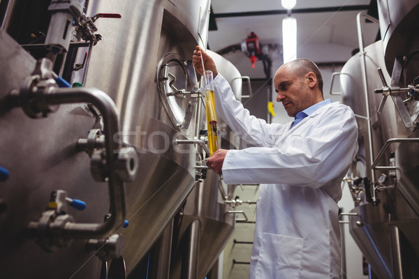 Low angle view of manufacturer examining beer Stock photo © wavebreak_media
