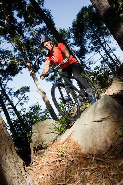 Male mountain biker riding bicycle in the forest Stock photo © wavebreak_media