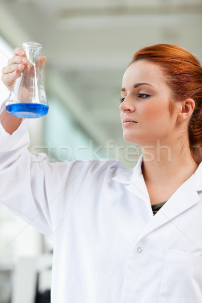 Portrait of a scientist looking at a blue liquid in an Erlenmeyer flask Stock photo © wavebreak_media