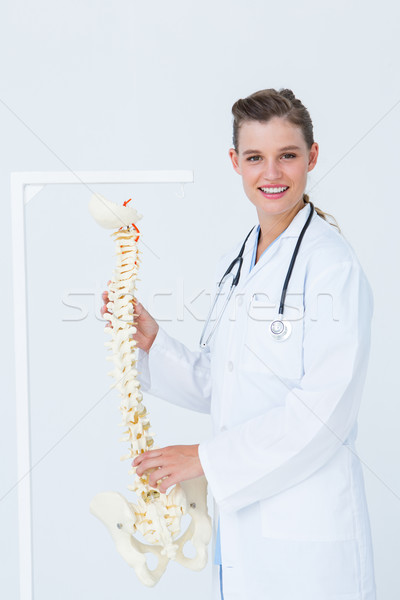 Orvos tart anatómiai gerincoszlop fehér boldog Stock fotó © wavebreak_media