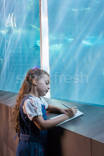 Little girl looking at fish tank Stock photo © wavebreak_media