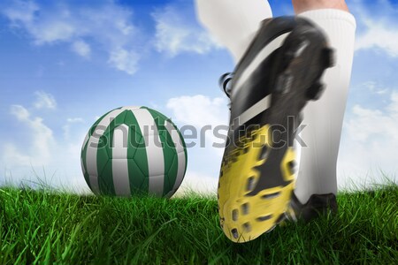 Zwart wit leder voetbal gras voetbal Stockfoto © wavebreak_media