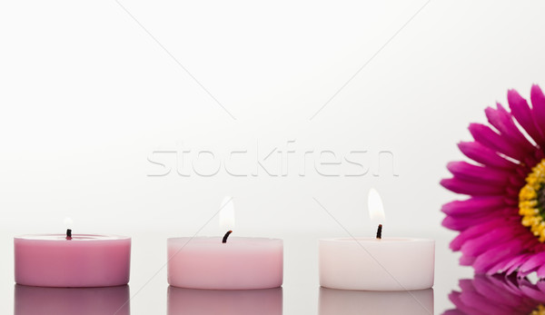 Lighted candles and a pink gerbera against a white background Stock photo © wavebreak_media