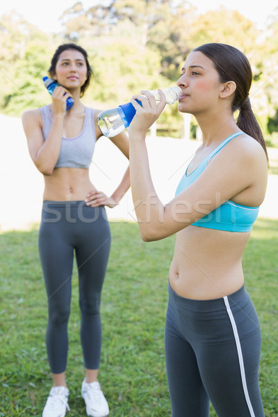 Sportlich Frauen Trinkwasser junge Frauen Ausübung Park Stock foto © wavebreak_media