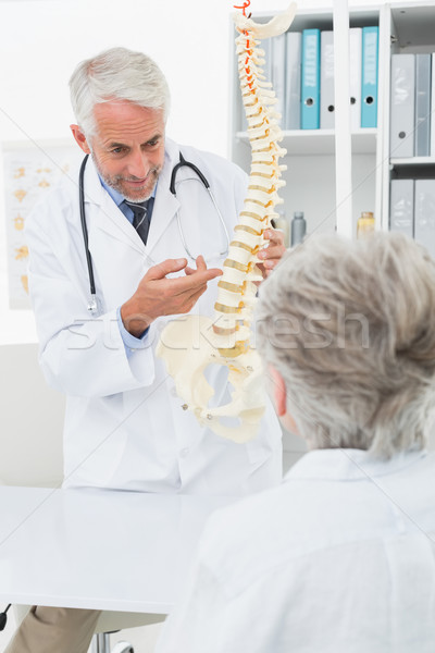 Male doctor explaining the spine to senior patient Stock photo © wavebreak_media