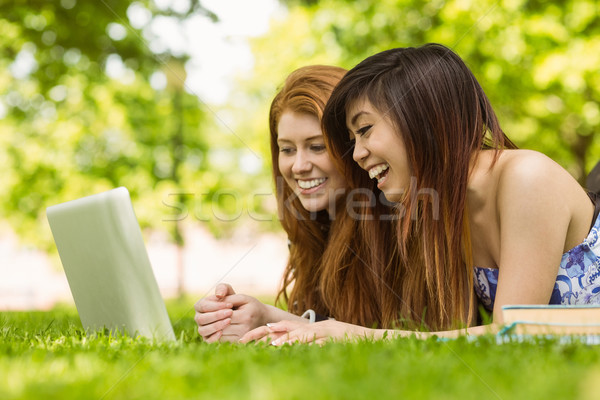 Gelukkig vrouwen met behulp van laptop park jonge vrouwen Stockfoto © wavebreak_media