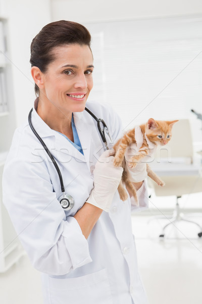 獣医 調べる 猫 医療 オフィス 女性 ストックフォト © wavebreak_media