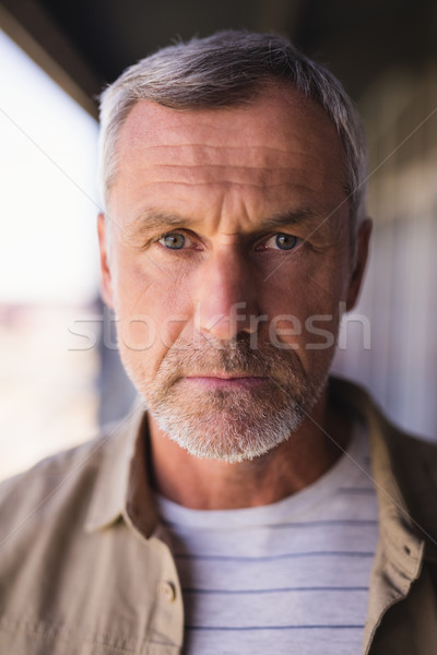 Close up portrait of mature businessman Stock photo © wavebreak_media