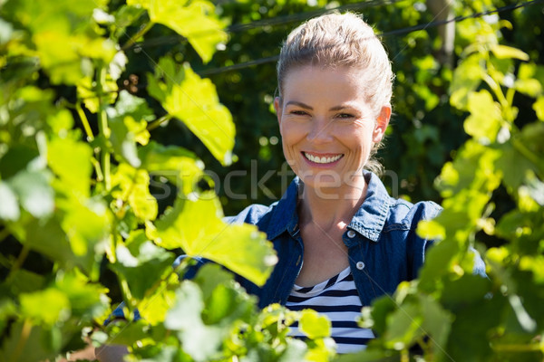 Female vintner standing in vineyard Stock photo © wavebreak_media