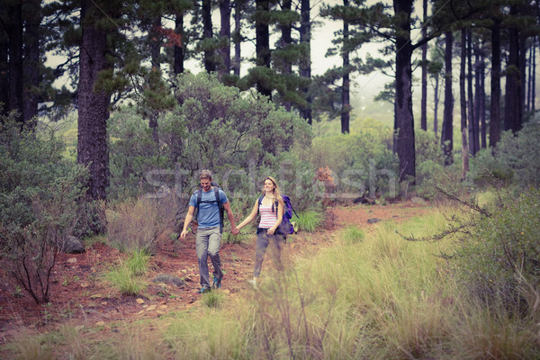 Foto stock: Jóvenes · caminante · Pareja · senderismo · naturaleza · mujer