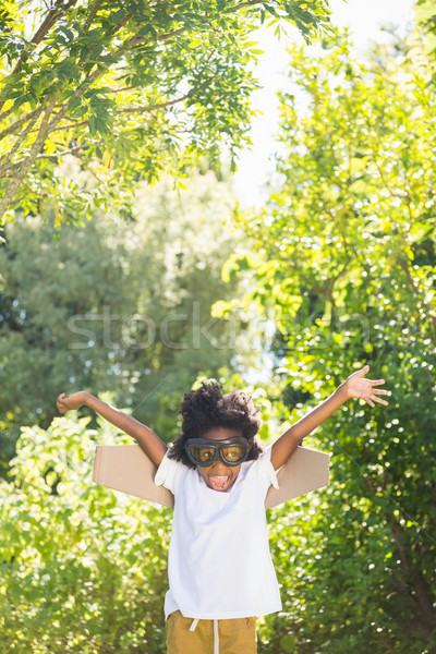 Boy playing as an aviator at park Stock photo © wavebreak_media