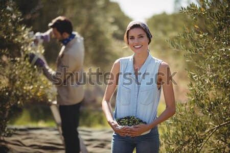 Kıdemli kadın kutu taze elma Stok fotoğraf © wavebreak_media