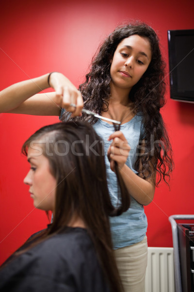 Stock foto: Porträt · Studenten · Friseur · Schneiden · Haar · Schere