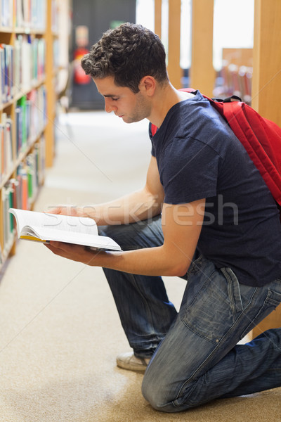 Stock foto: Studenten · kniend · Bücherregal · Bibliothek · schauen · Buch